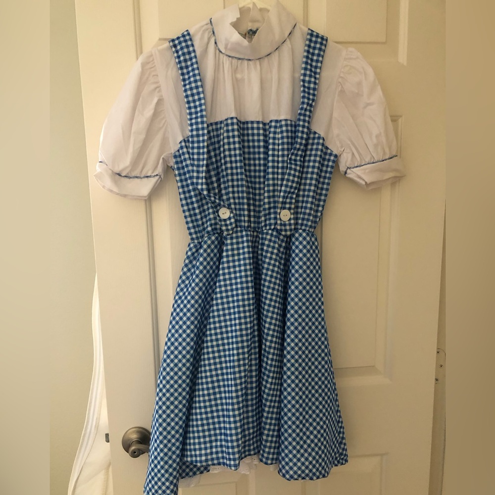 Dorthy The Wizard of OZ costume